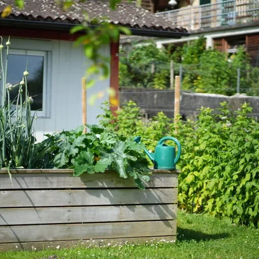 Garten Garten