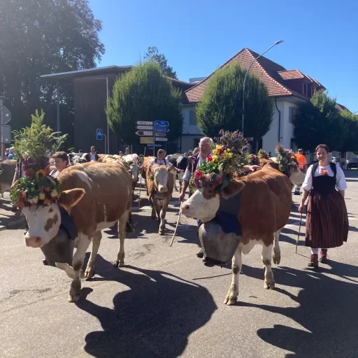 Alpabzug